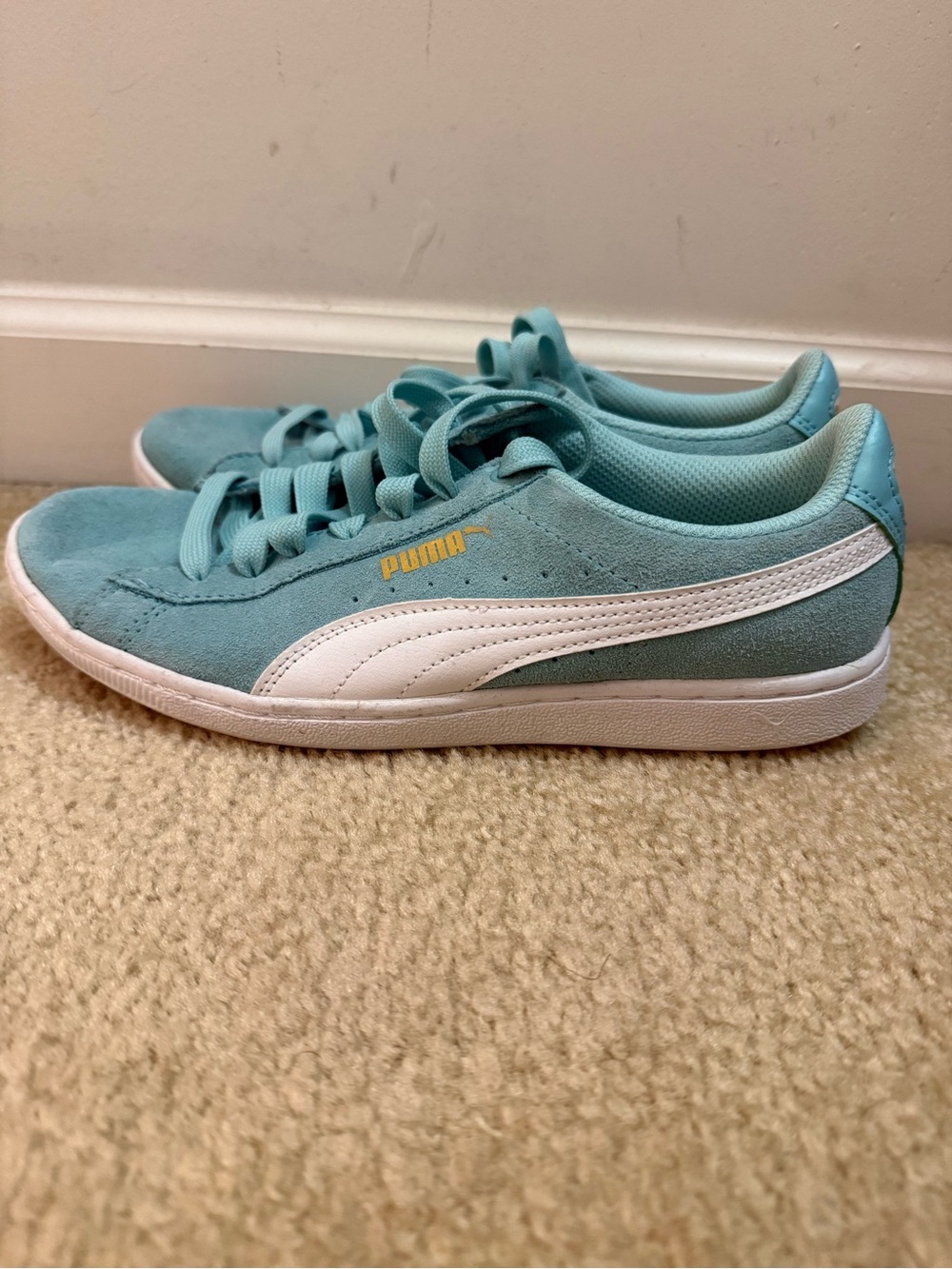 Puma Aqua Suede Low-Top Sneakers with White Stripe